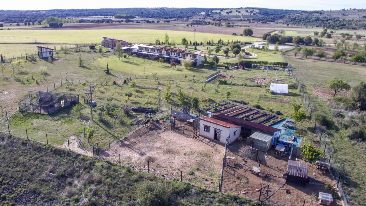 Hotel Albergue Bioclimatico Sabinares Del Arlanza Puentedura Exterior foto